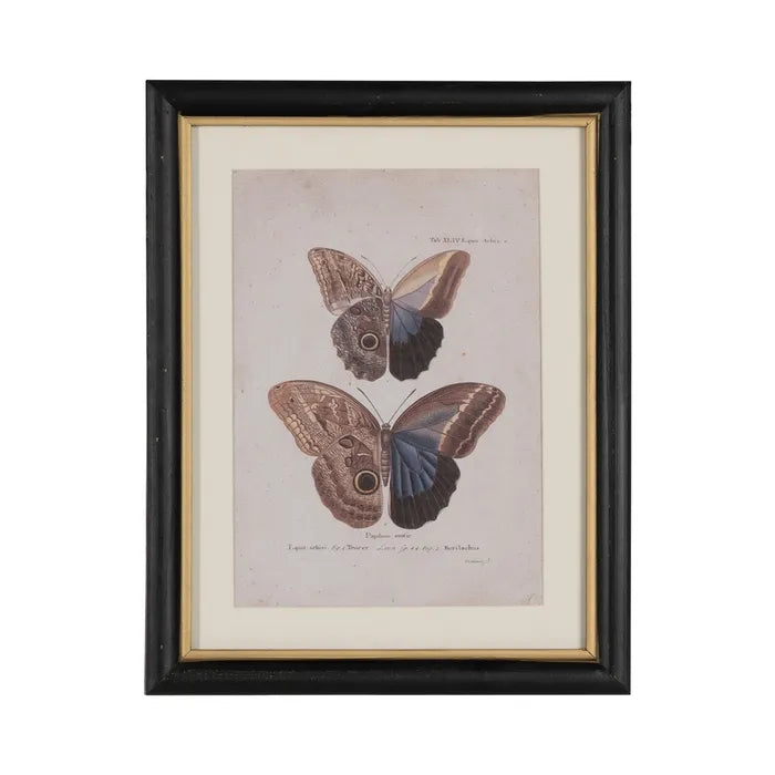 Quadro con farfalle
