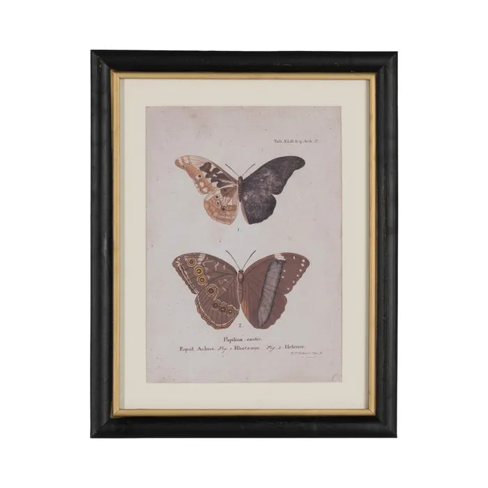 Quadro con farfalle