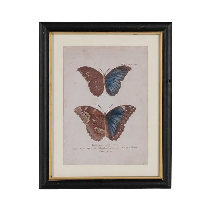 Quadro con farfalle