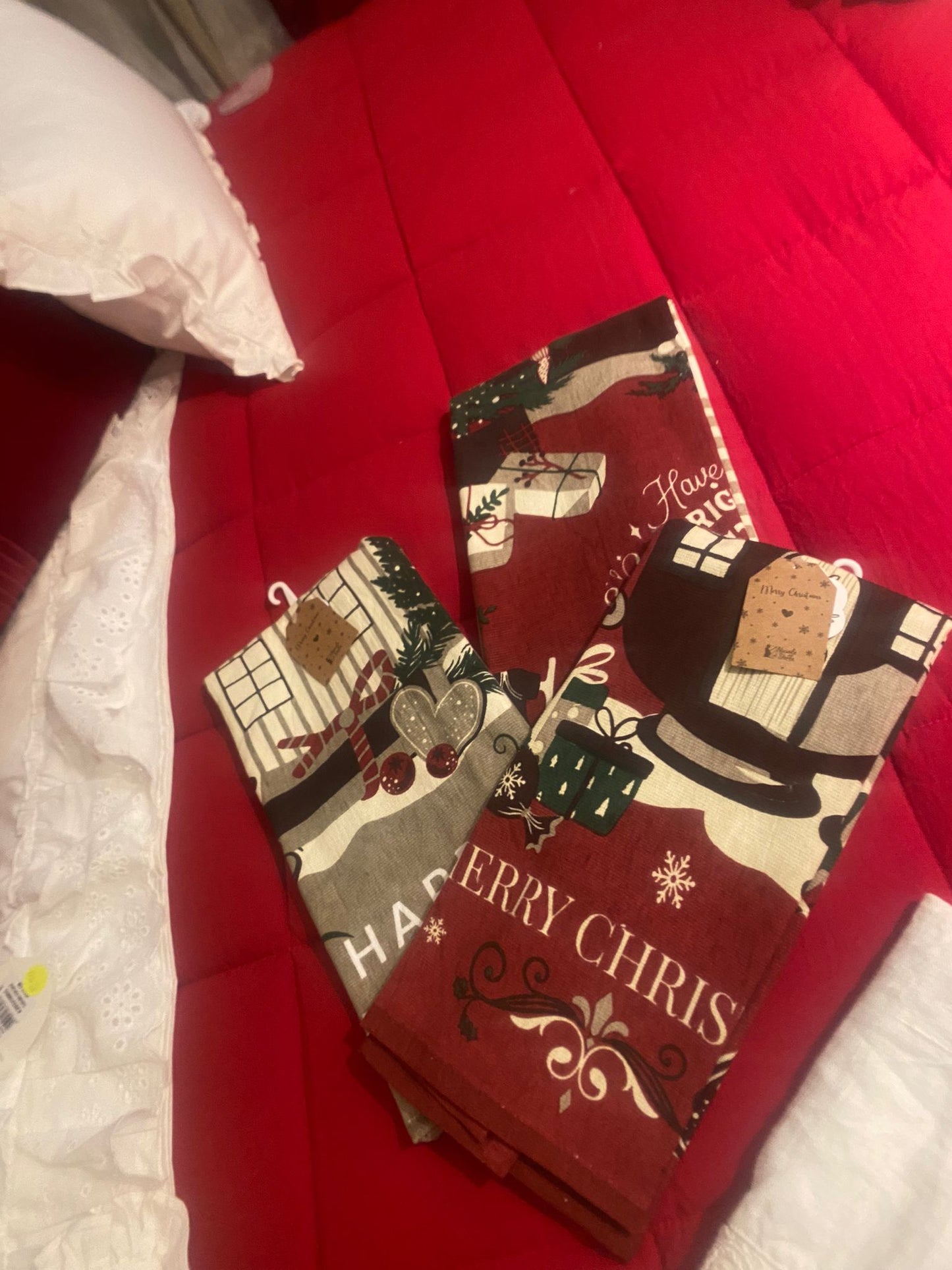 Strofinaccio Natale Spugna