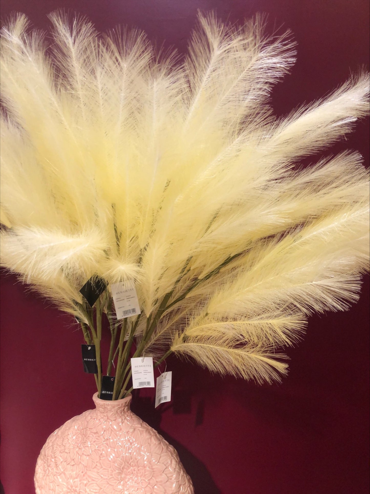 Pampas
