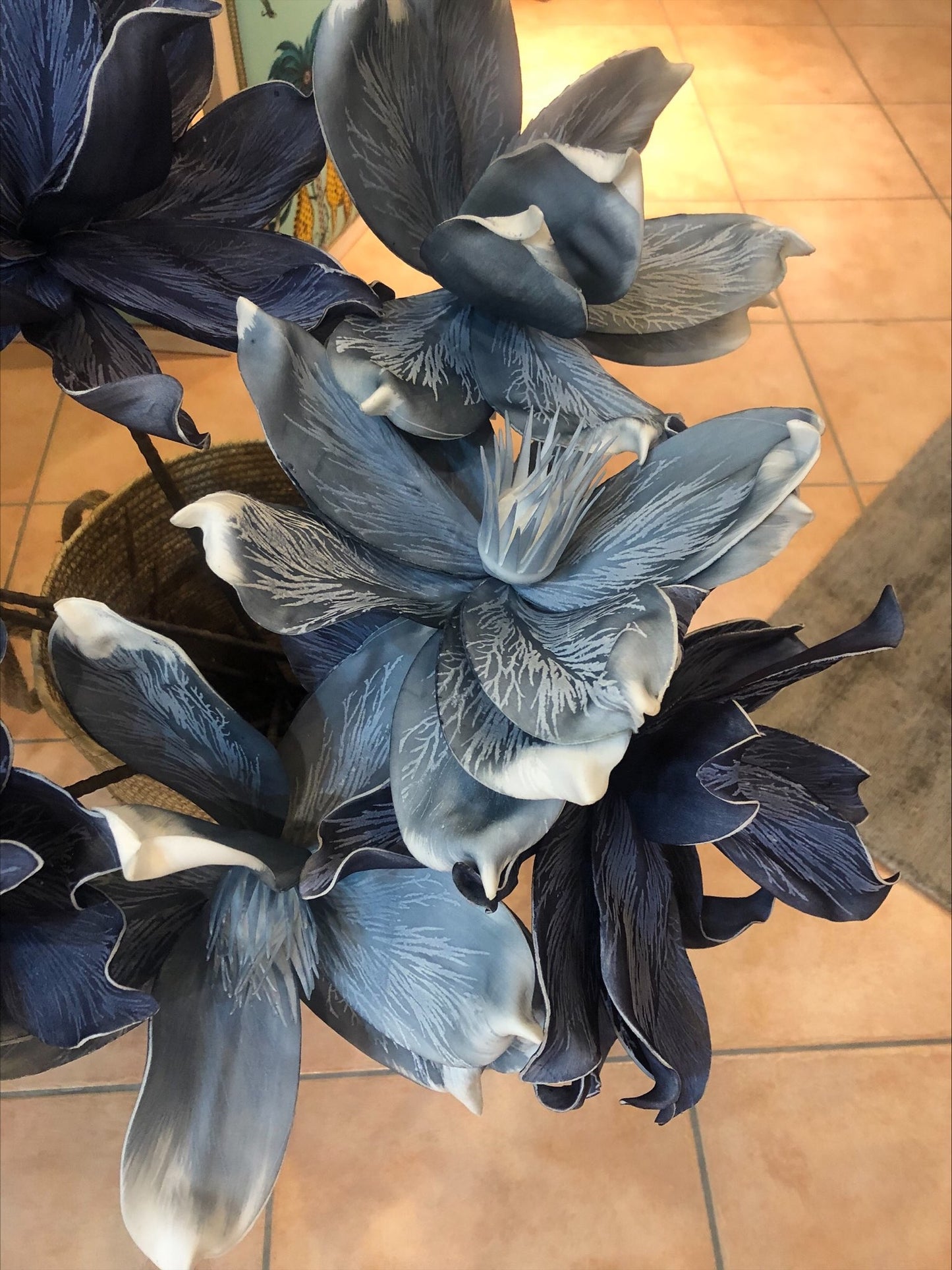 Gardenia Polvere
