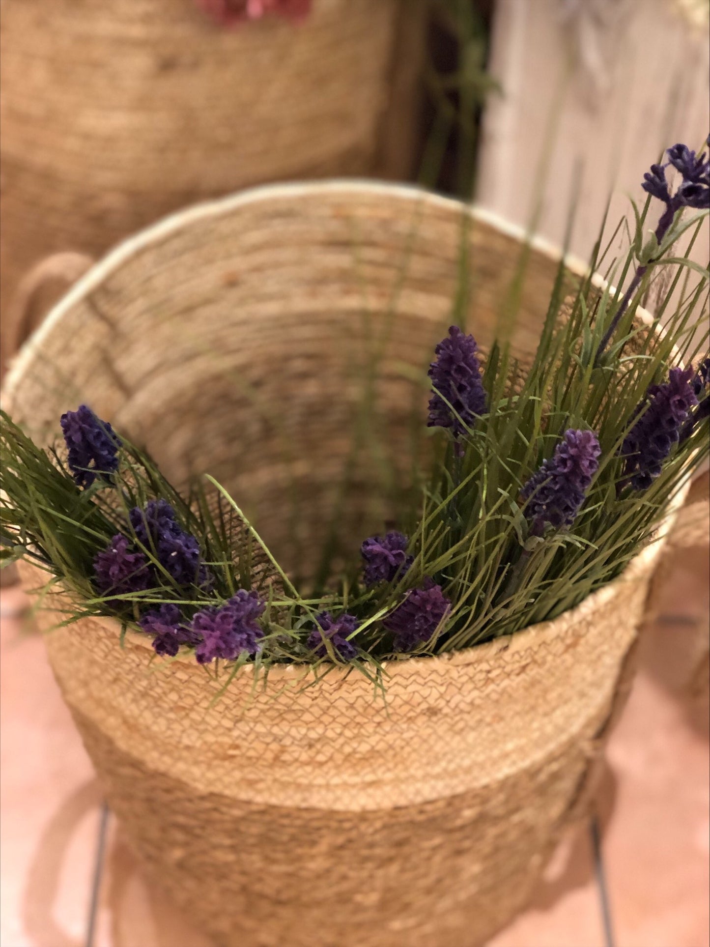 Lavanda Fascio