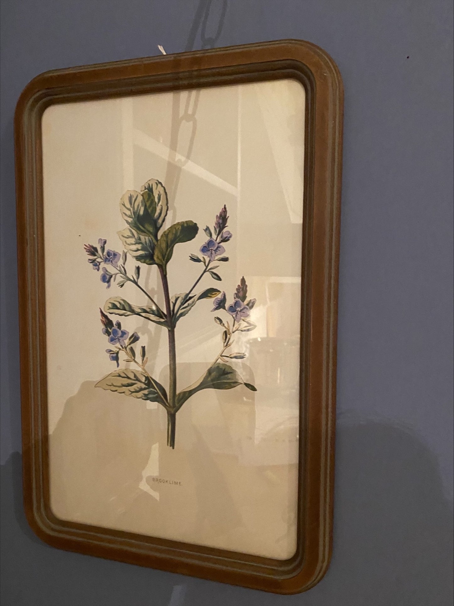 Quadro con Cornice