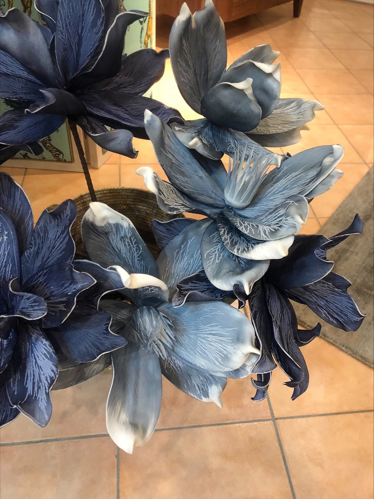 Gardenia Polvere