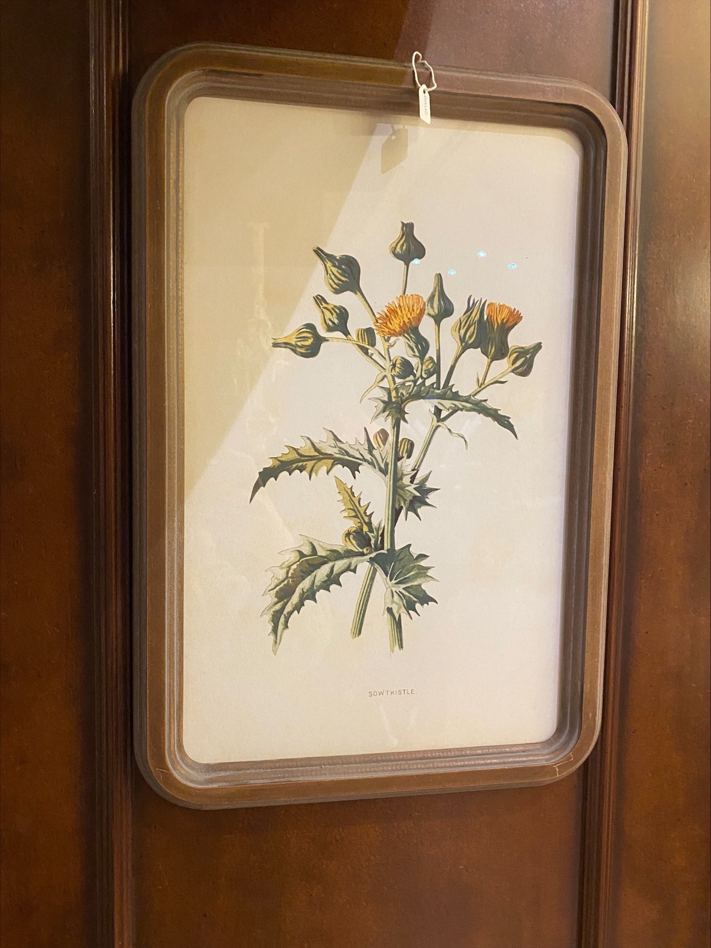 Quadro con Cornice