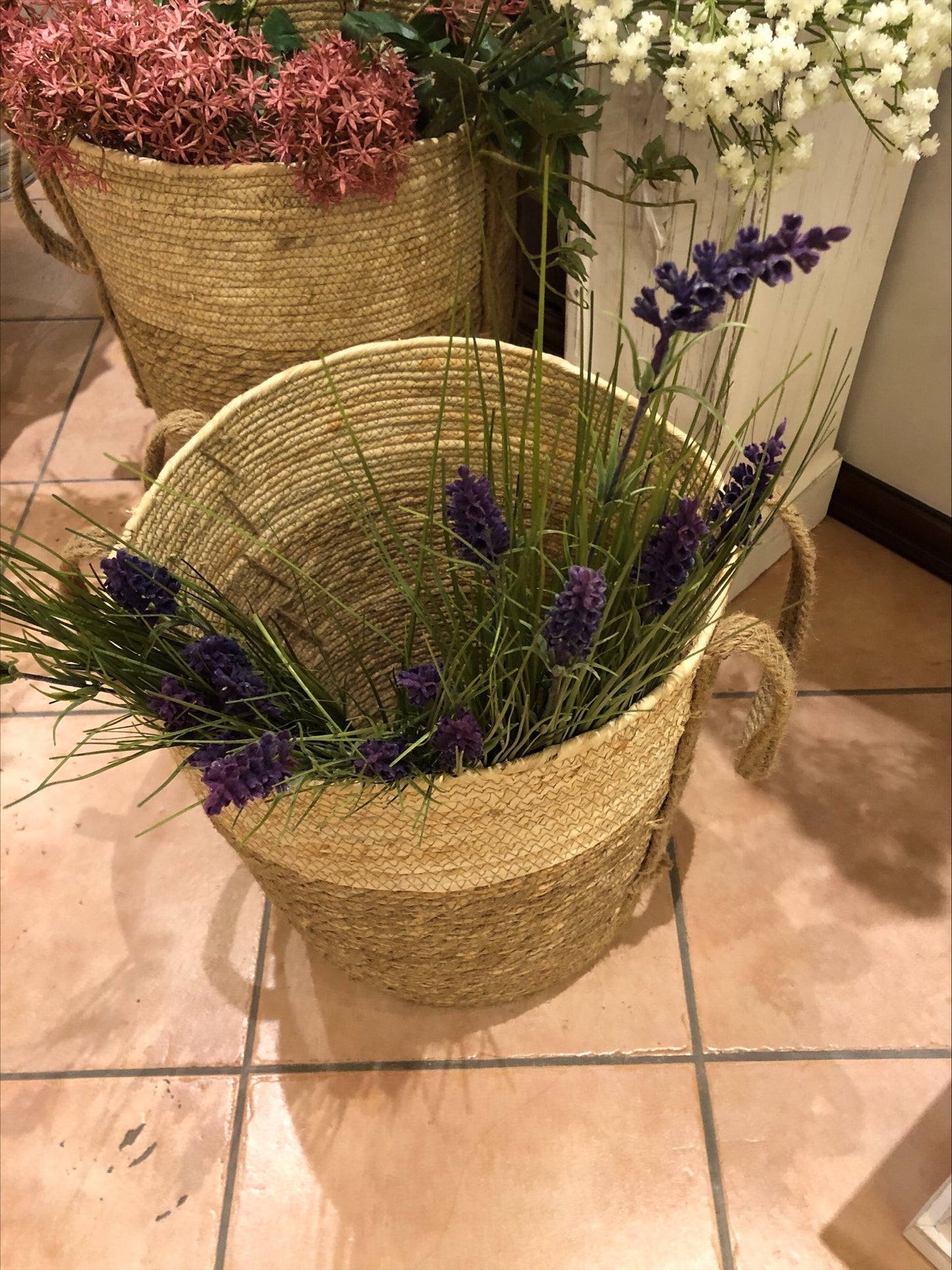 Lavanda Fascio
