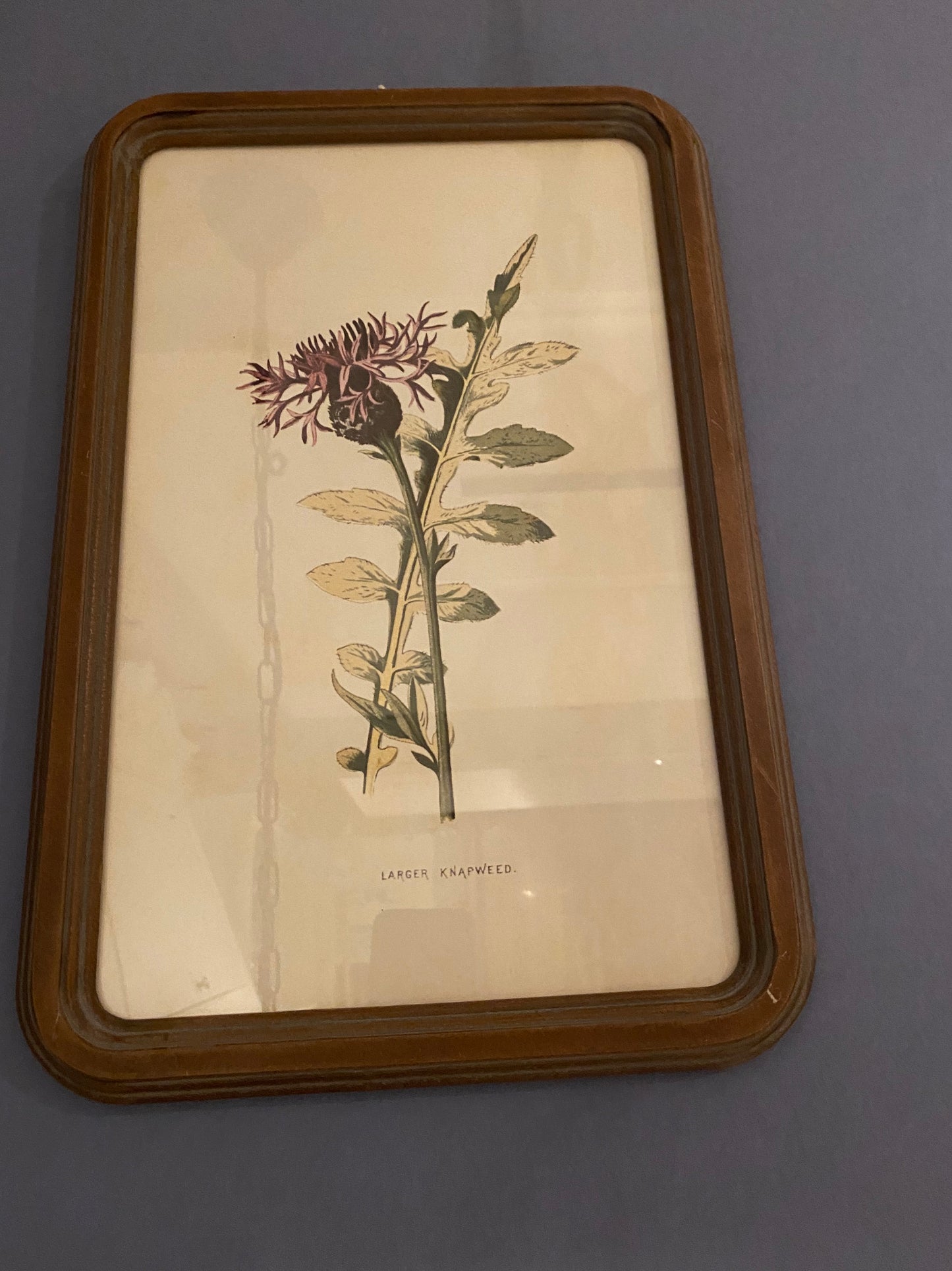 Quadro con Cornice