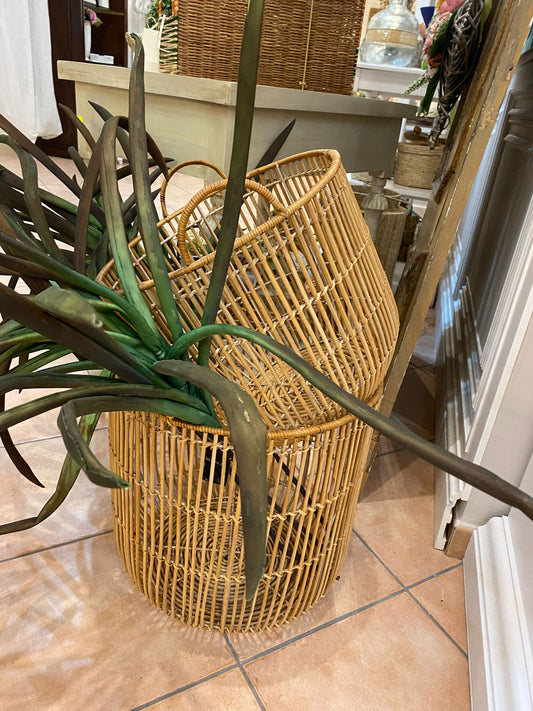 Cesta