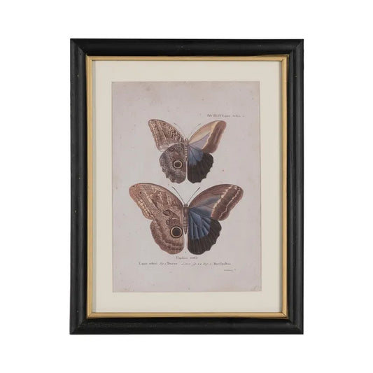 Quadro con farfalle
