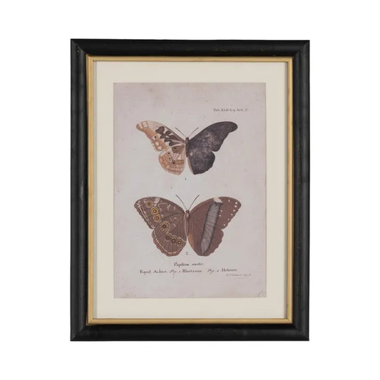Quadro con farfalle