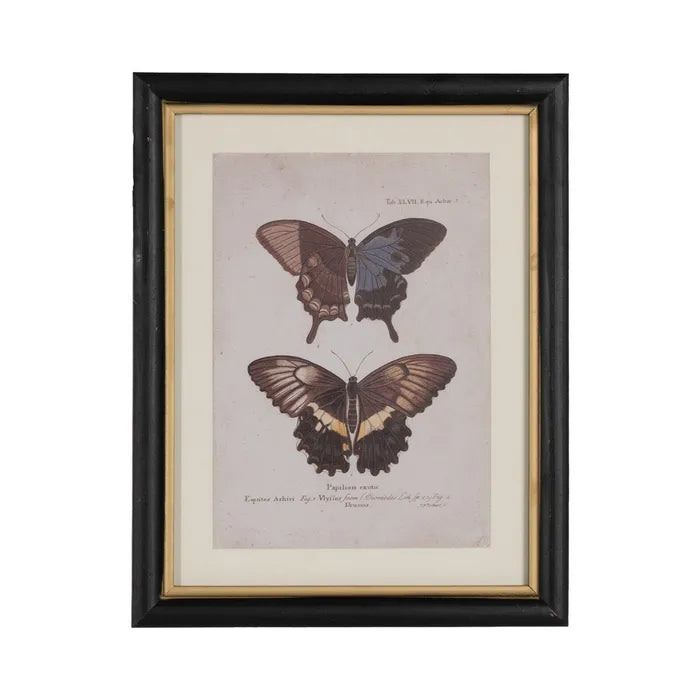 Quadro con farfalle