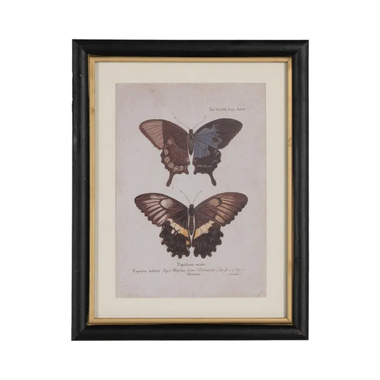 Quadro con farfalle