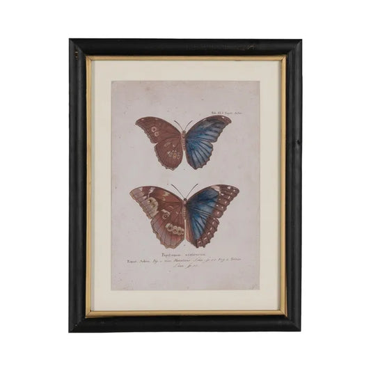 Quadro con farfalle