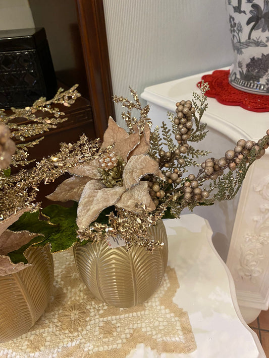 Ramo stella Natale