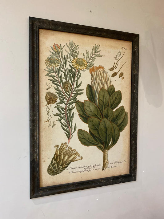 Quadro