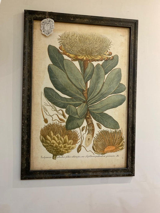 Quadro