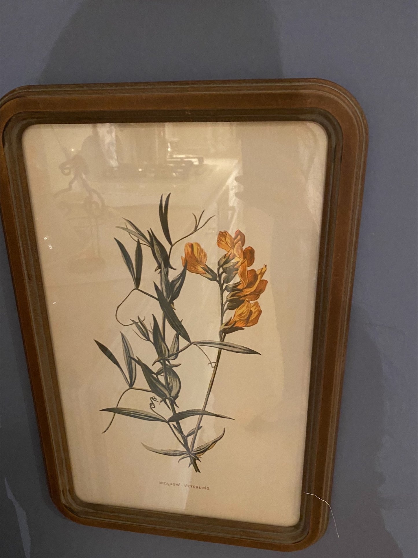 Quadro con Cornice