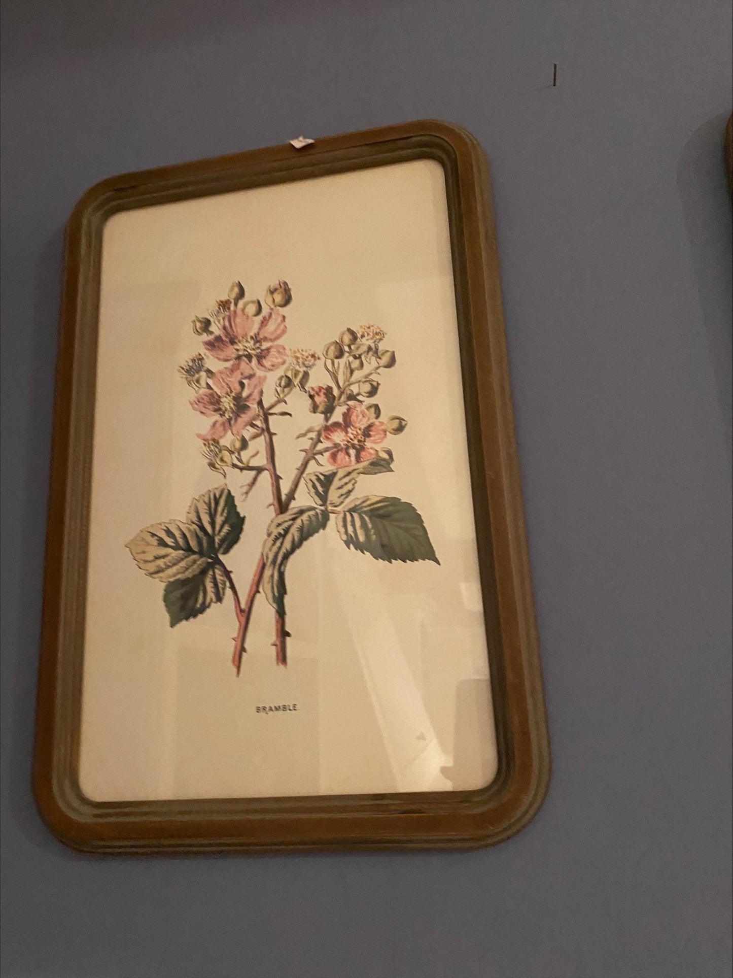 Quadro con Cornice