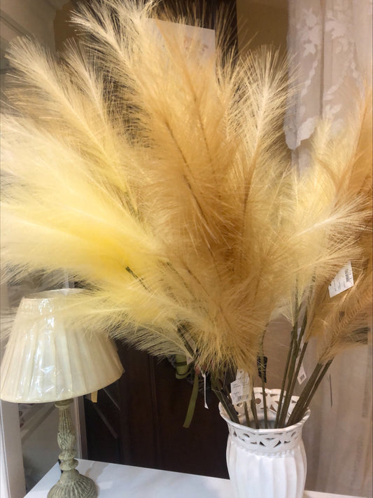 Pampas Avorio